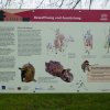 05 auf den Spuren der Römer - rund um Schwabsberg